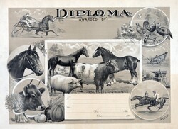Public domain 1800s vintage diploma awarded for farming