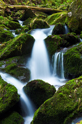 Mountain stream and moss at Bila Opava walk in Czech Republic