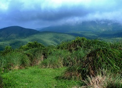 In the east of the Yangmingshan National Park, north of Taipei urban area