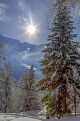 Beautiful Winter Landscape with Mountain