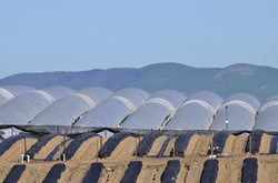 Rows of tents to aid in food production