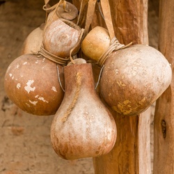 Dried gourd bottles used for liquids