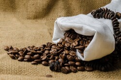 Coffee beans in burlap sack