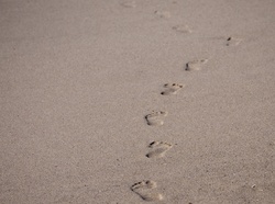 Footprints In The Sand