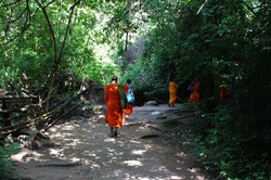 Monks , Thailand