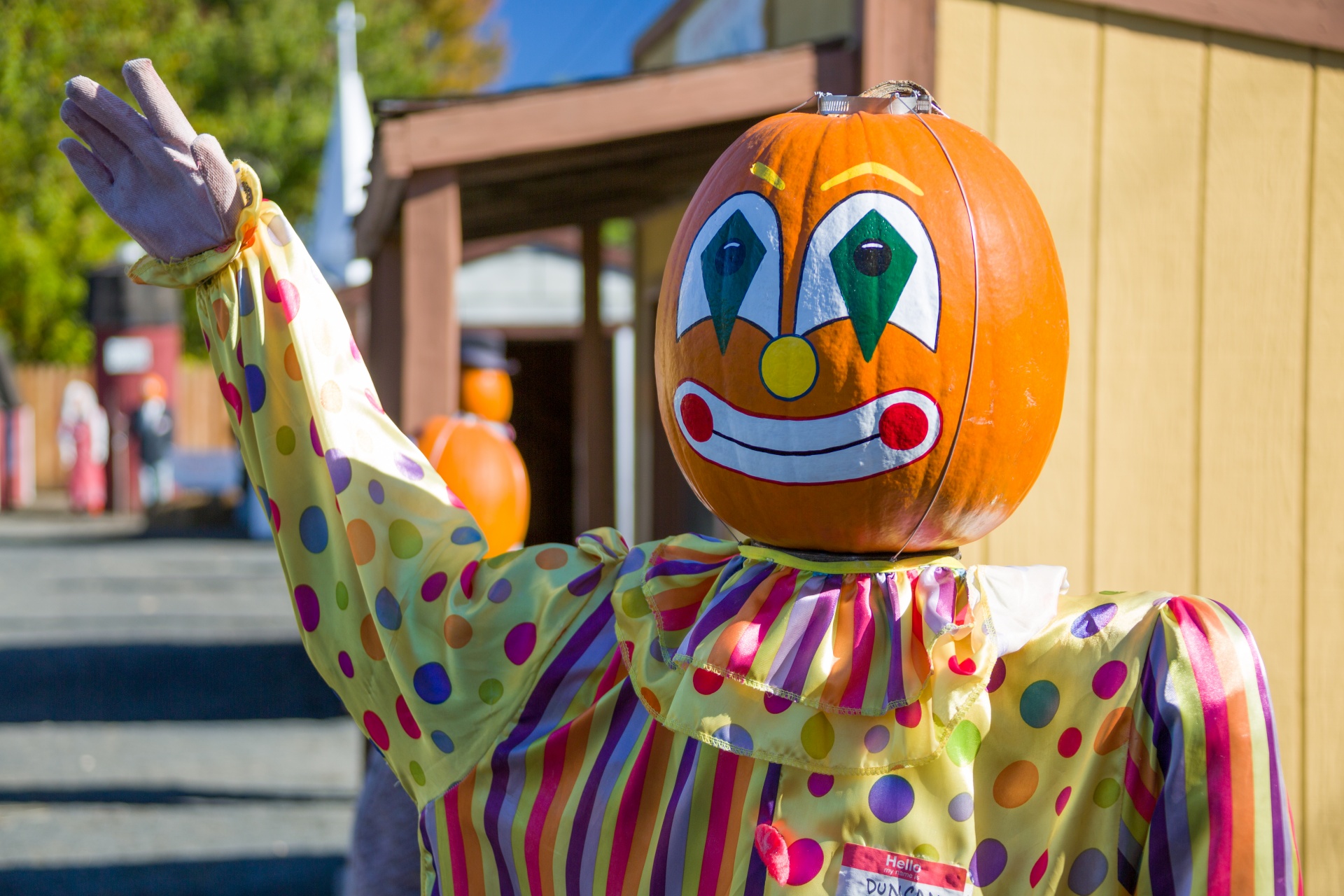 Pumpkintown in Connecticut