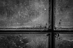 Cobweb On The Window. Black And White