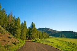 Dirt road winds into the pine trees and meadows of the west.