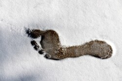 Bare foot mark in snow