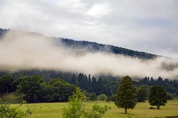 Low lying cloud over evergreen forests clinging to the sides of the mountain in an atmospheric nature background