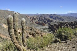 Mountains of the Moon in Bolivia