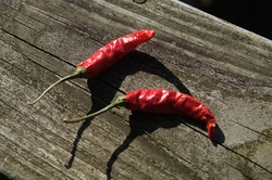 Hot Peppers