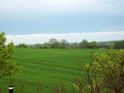 The sun tries to peak through as stormy weather forms a backdrop beyond a field of spring wheat.