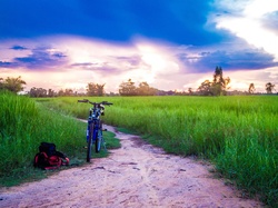 Road in rural area farm