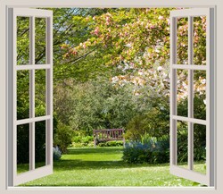 Spring garden scene through the open window