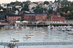Boats Sailing in the Harbor Portland Maine