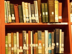 Photo of books on a bookshelf