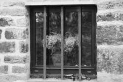 Window And Bars