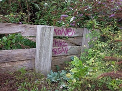 Graffiti on walk wood