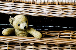 Old teddy bear