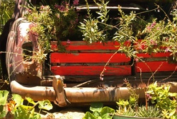 Plant boxes thriving plant boxes thriving in the boot of a vintage car
