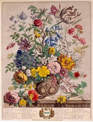 Vintage Flowers Illustration Art