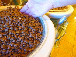 Hand dipping into a barrel of coffee beans