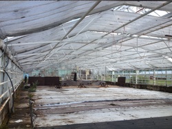 A former glass greenhouse in Mikkeli, Finland, deserted due to safety issues.