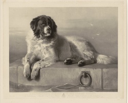 St. Bernard laying on a bridge dog Thomas Landseer, after Edwin Henry Landseer Sir, 1805 - 1880 Public Domain