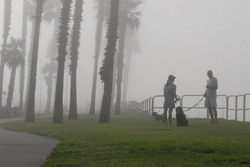 At Huntington Beach in USA