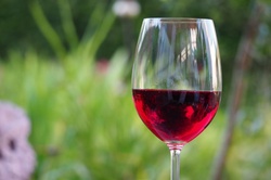 Glass of Red Wine