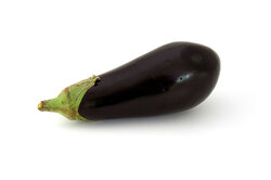Aubergine on white background