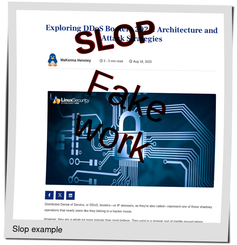 Slop or fake: Exploring DDoS Booters 2025: Architecture and Attack Strategies
