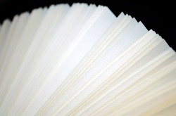 Pages of the book