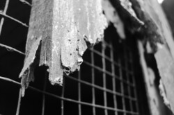 Termites have eaten the wood and taken in B n W