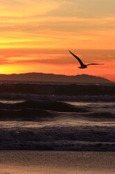 Sunset at Huntington Beach Pier, Huntington Beach, CA, on 31 December 2009