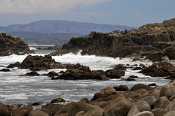 Waves crash and pound the rocky shoreline of Monterey Bay, California