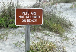 Pets not allowed on beach sign