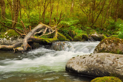 Large stones on the river bank