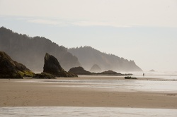 Background beach scenic