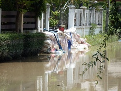 Sandbags Protecting Against Flood Water