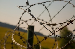 Barb wire fence