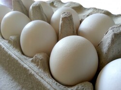 Dozen eggs in their package