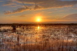 Everglades Sunset