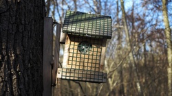 Birdhouse in the forest