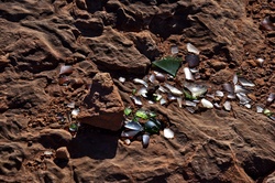 Broken glass shards on the reddish dirt of the desert