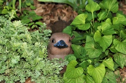 A brown ceramic bird, with a blue bill, peeking out from green plants in a spring flower garden.