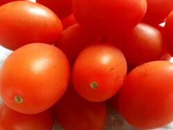 Closeup on cherry tomatoes
