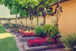 Old Graves With Flowers