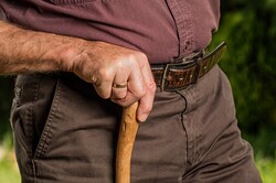 Old hand on walking stick